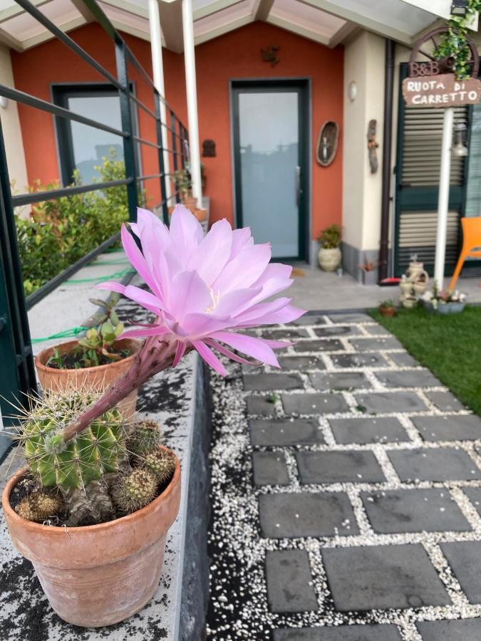 B&B Ruota Di Carretto Nicolosi Dış mekan fotoğraf
